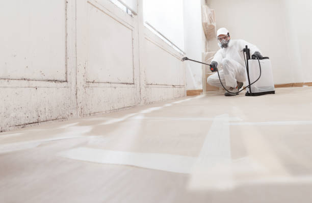24/7 Emergency Commercial Mold Remediation experts in Richland, GA