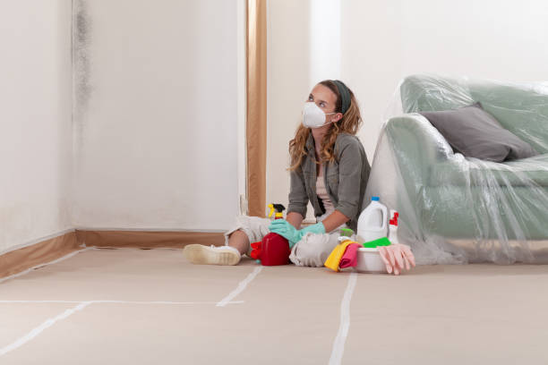 Reliable Commercial Mold Remediation contractor in Richland, GA by 24 Hour Mold Removal