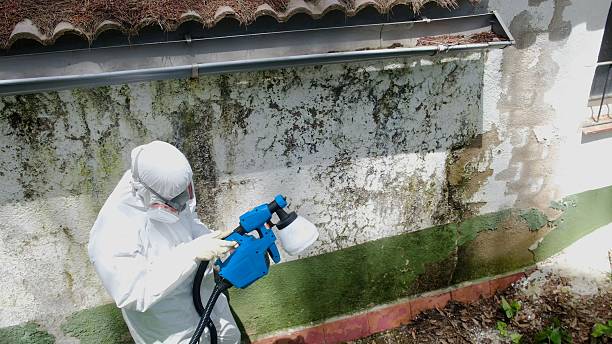 Top rated local Commercial Mold Remediation specialists in Richland, GA